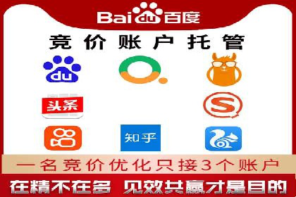 某行业巨头背后的SEM代运营服务公司